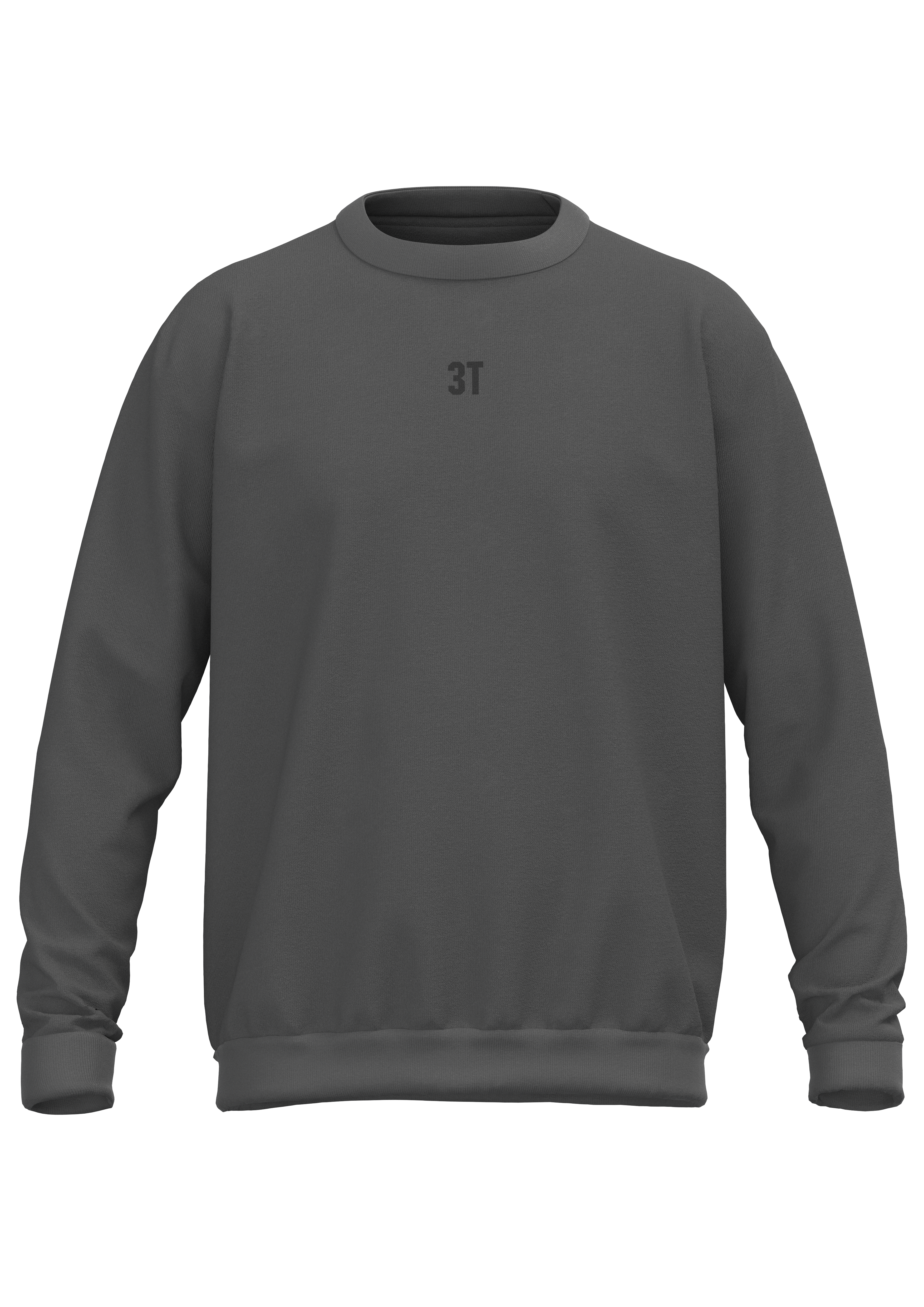 3t-r2i-heavyweight-crewneck-dark-grey-felpa-oversize image 1