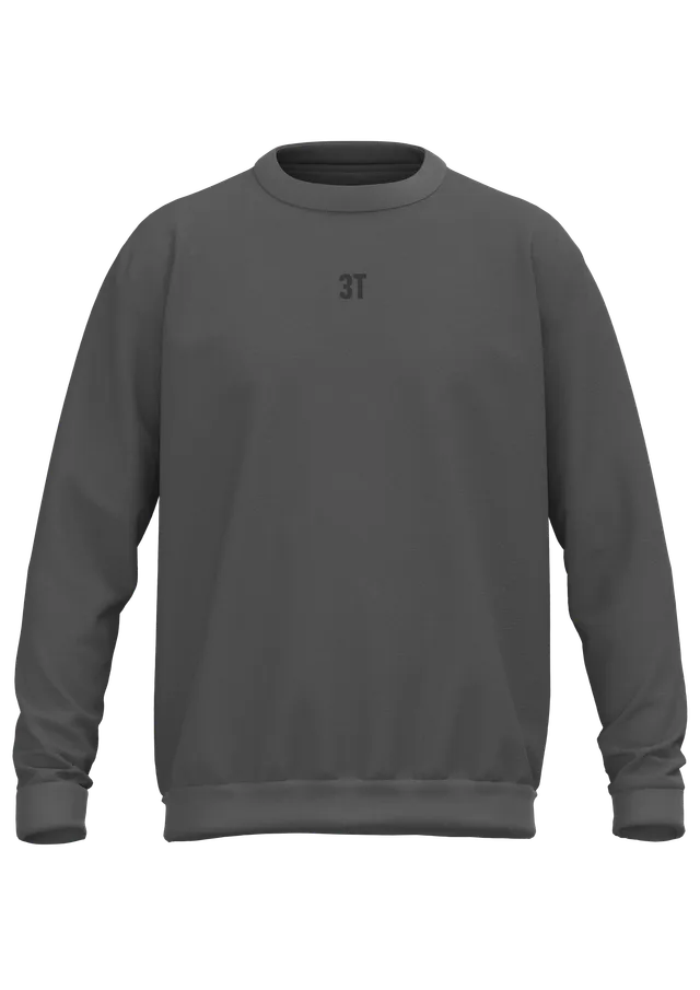 3t-r2i-heavyweight-crewneck-dark-grey-felpa-oversize image 1