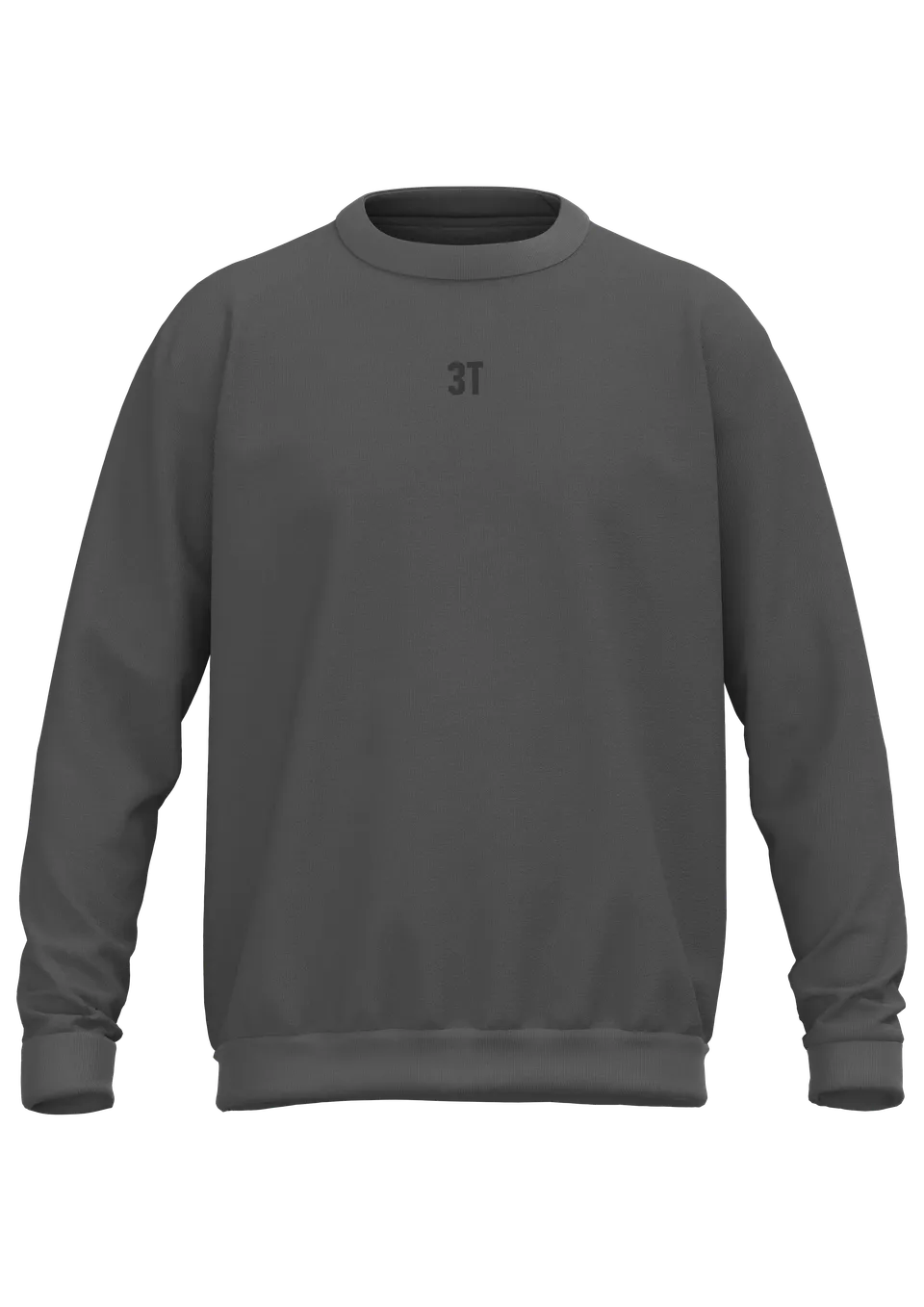 3t-r2i-heavyweight-crewneck-dark-grey-felpa-oversize image 1
