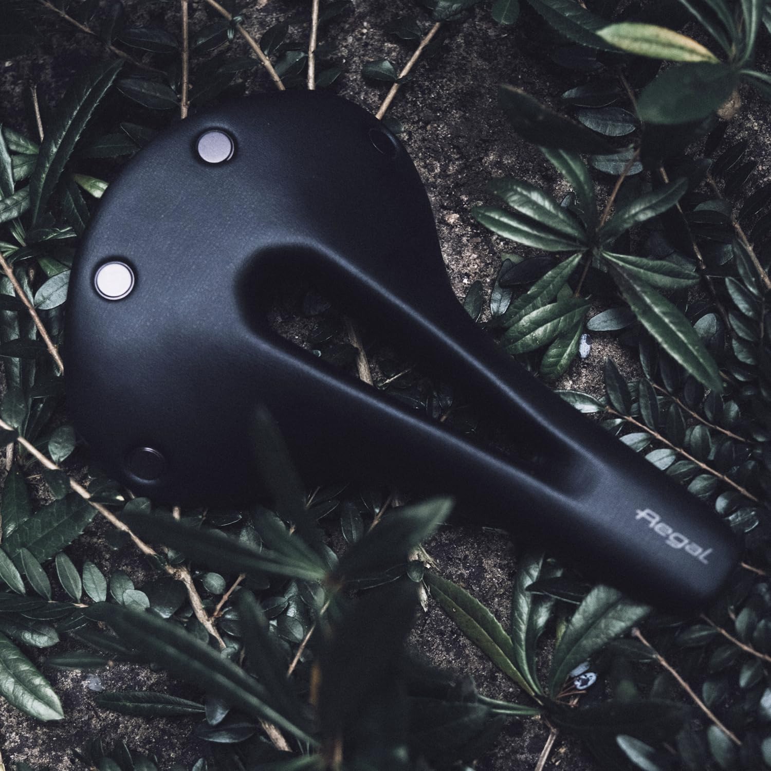 selle-san-marco-regal-short-sella-gravel-bikepacking-nero image 8