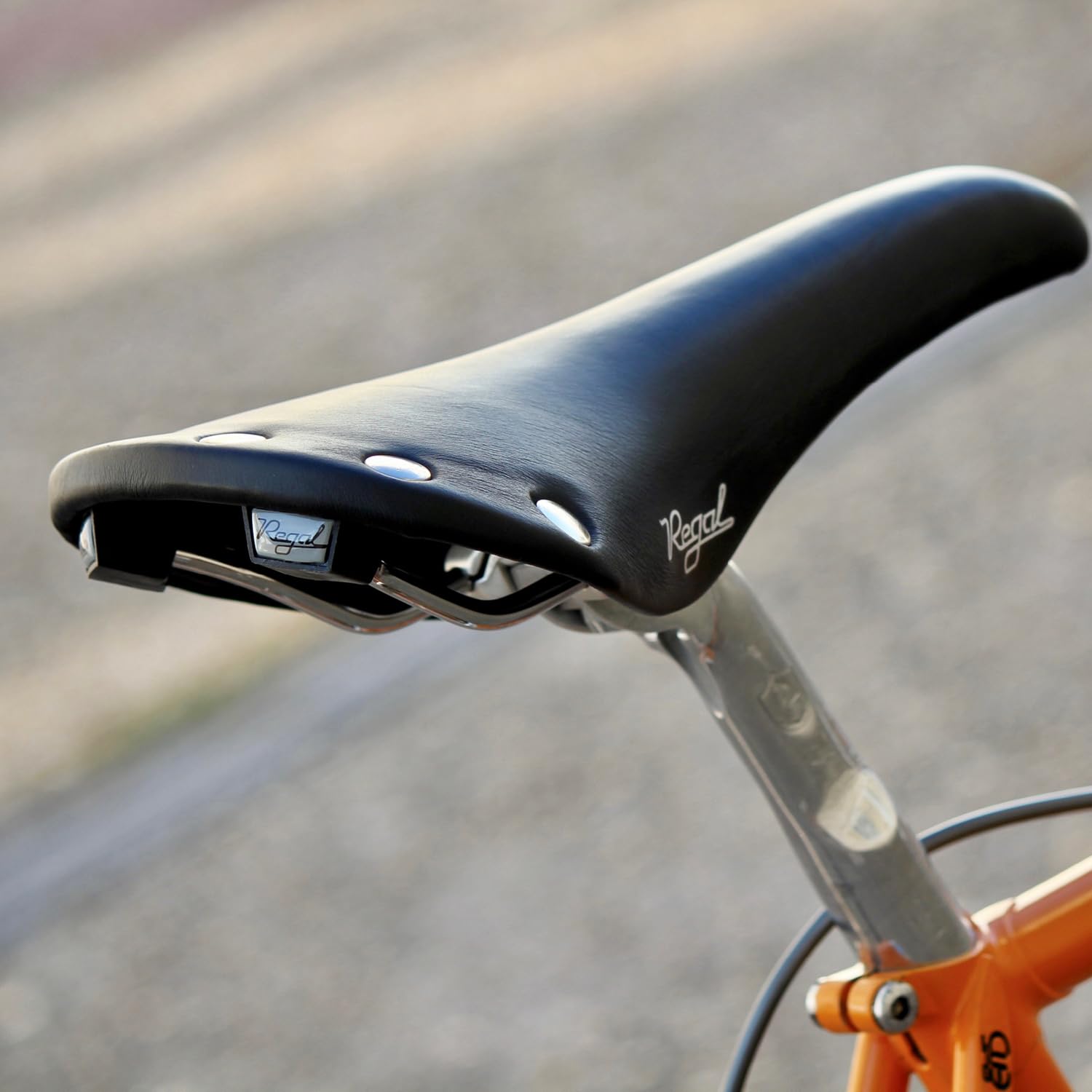 selle-san-marco-regal-le-classiche-sella-vintage-in-pelle image 6